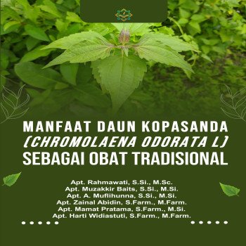 Manfaat Daun Kopasanda Chromolaena odorata L. sebagai Obat Tradisional