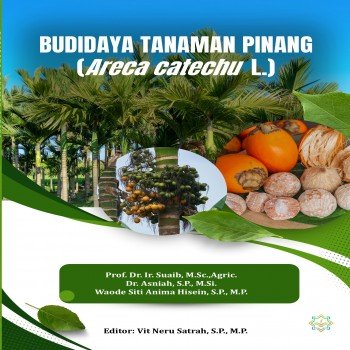 BUDIDAYA TANAMAN PINANG Areca catechu L