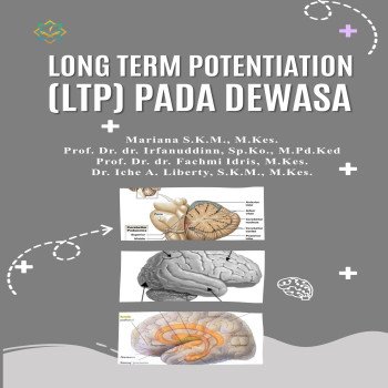 Long Term Potentiation LTP pada Dewasa