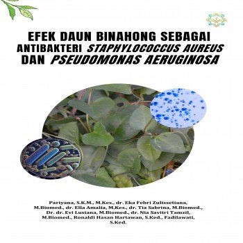 Efek Daun Binahong sebagai Antibakteri Staphylococcus aureus dan Pseudomonas aeruginosa