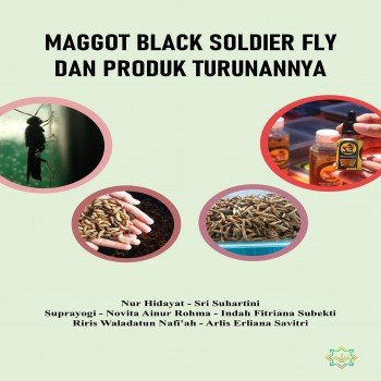 MAGOT BLACK SOLDIER FLY DAN PRODUK TURUNANNYA